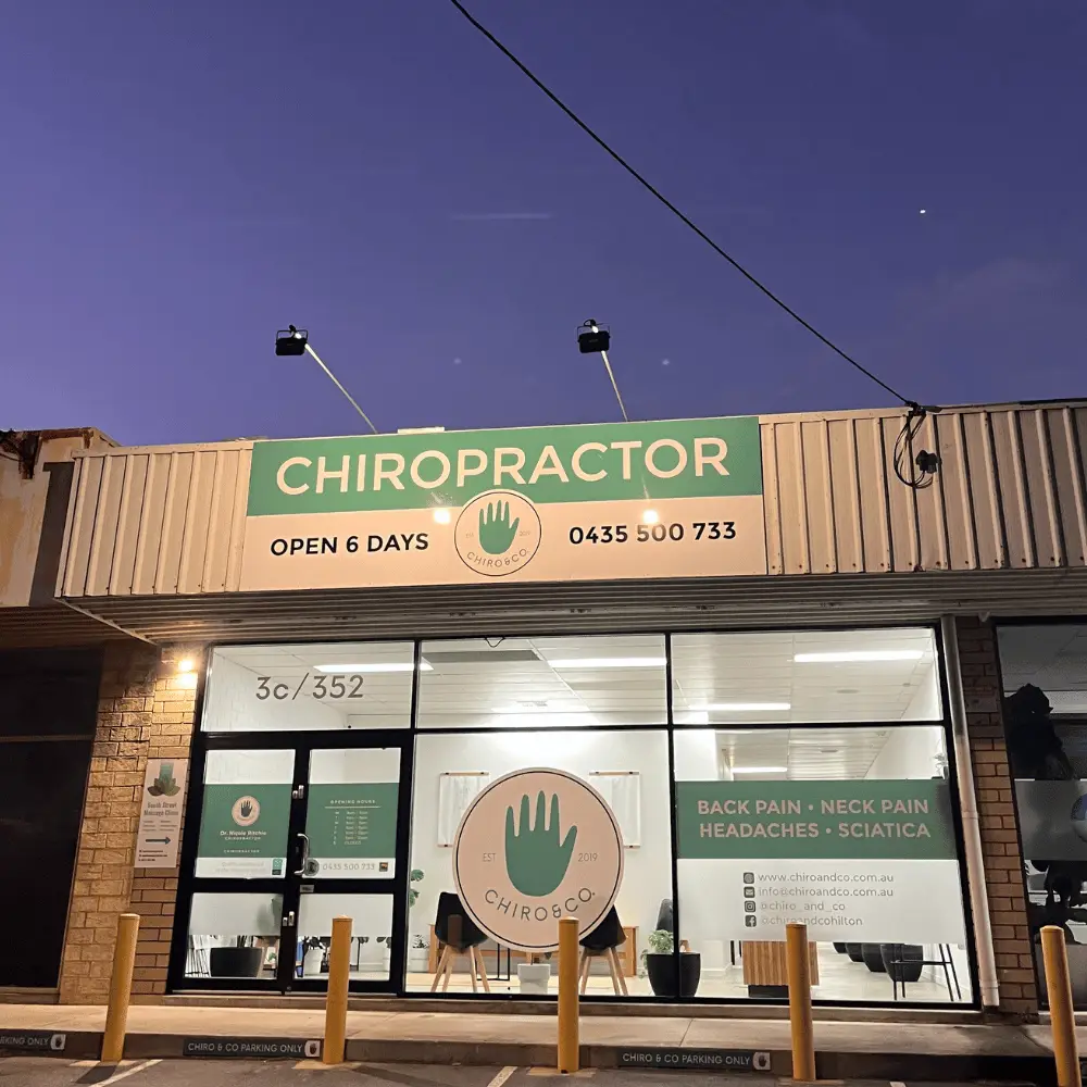 Our Team - Chiro & Co.